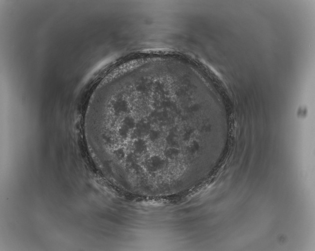 X0000094441351200711291626