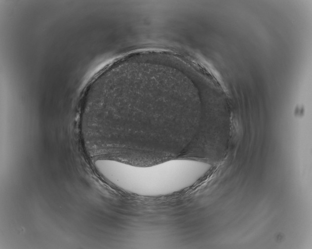 X0000094441352200711291626