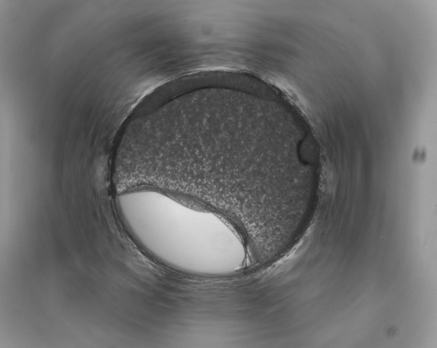 X0000094441353200711291626