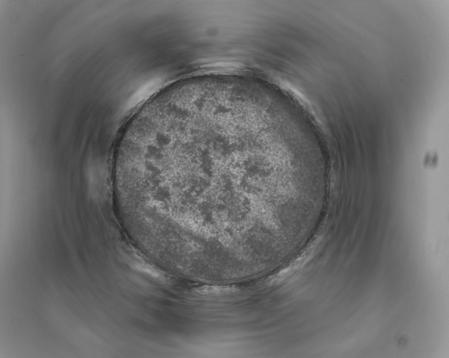 X0000094441354200711291626