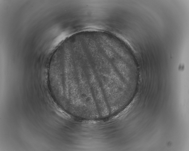 X0000094441355200711291626