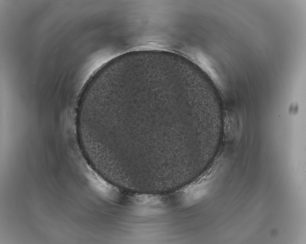 X0000094441356200711291626