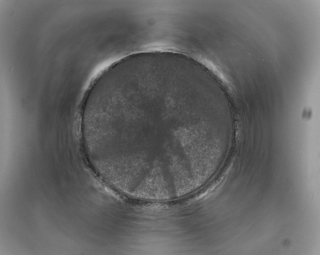 X0000094441358200711291626