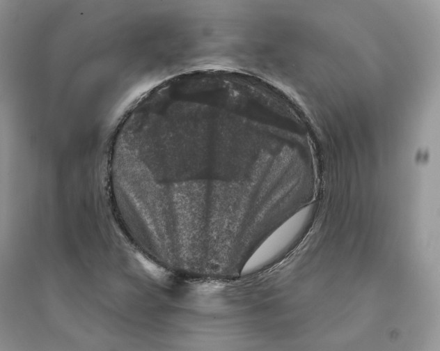 X0000094441359200711291626