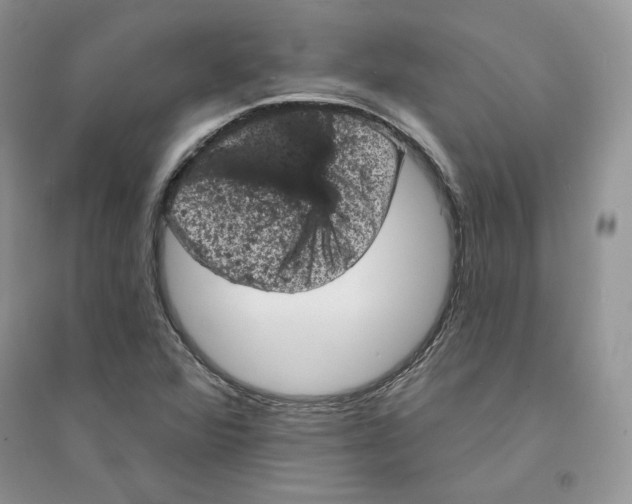 X0000094441360200711291626