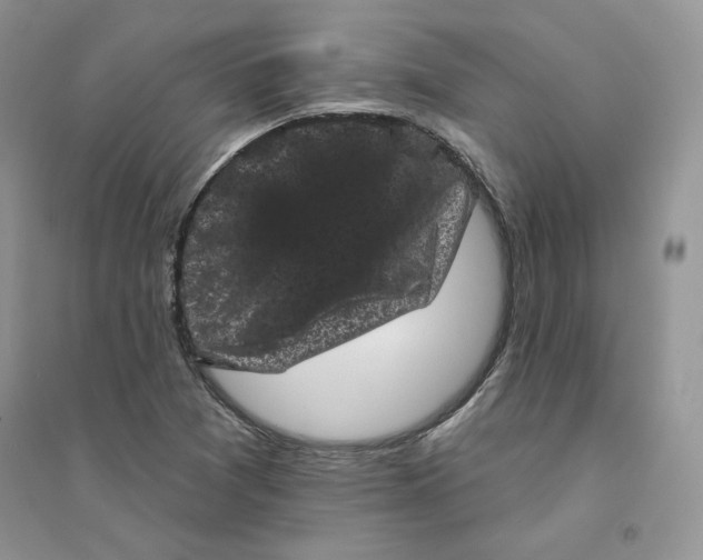 X0000094441361200711291626