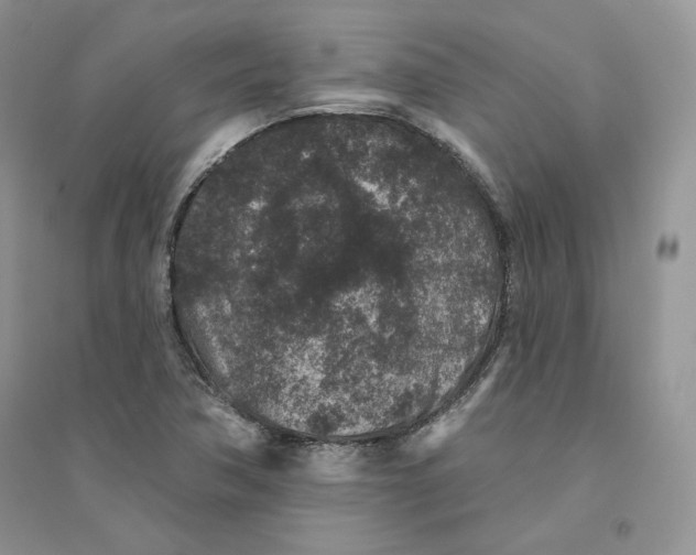 X0000094441362200711291626