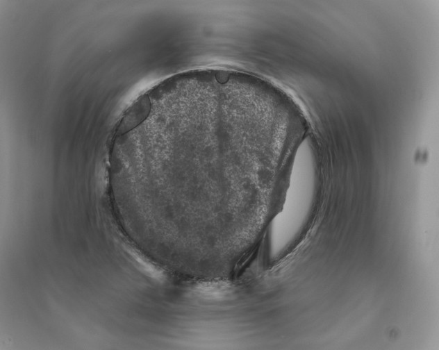 X0000094441363200711291626