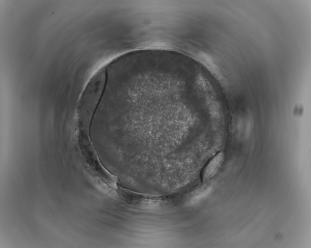 X0000094441364200711291626