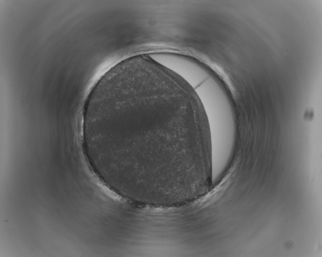 X0000094441365200711291626