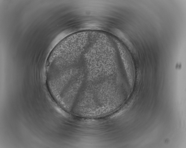 X0000094441370200711291626