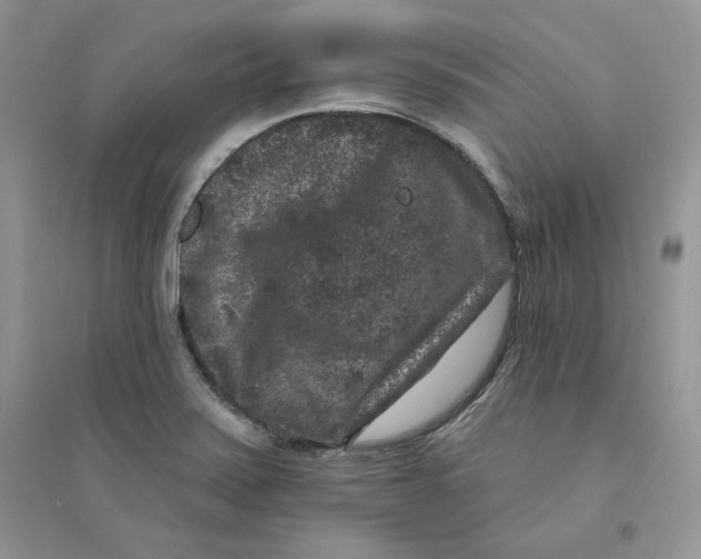 X0000094441371200711291626