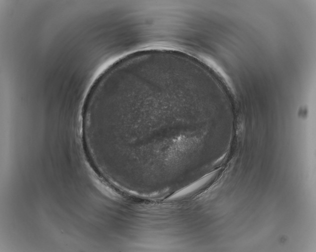 X0000094441372200711291626