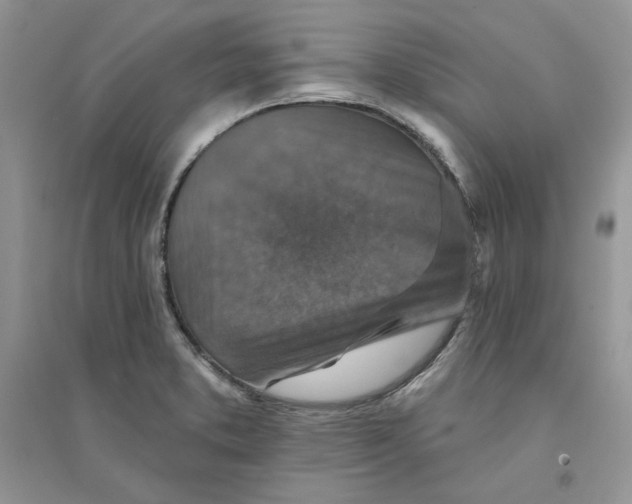 X0000094441373200711291626