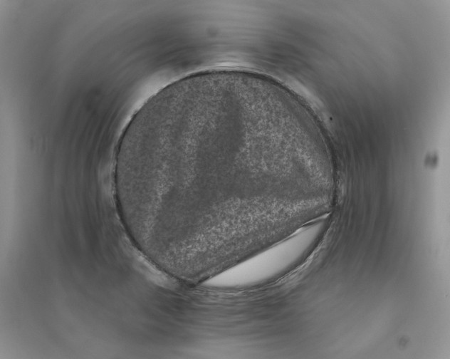 X0000094441374200711291626