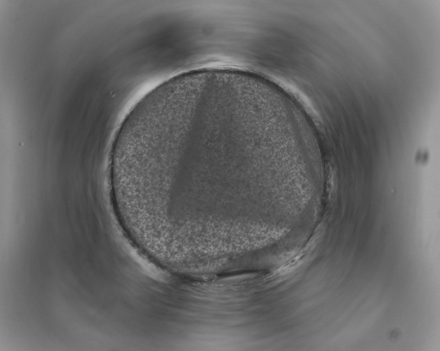 X0000094441375200711291626