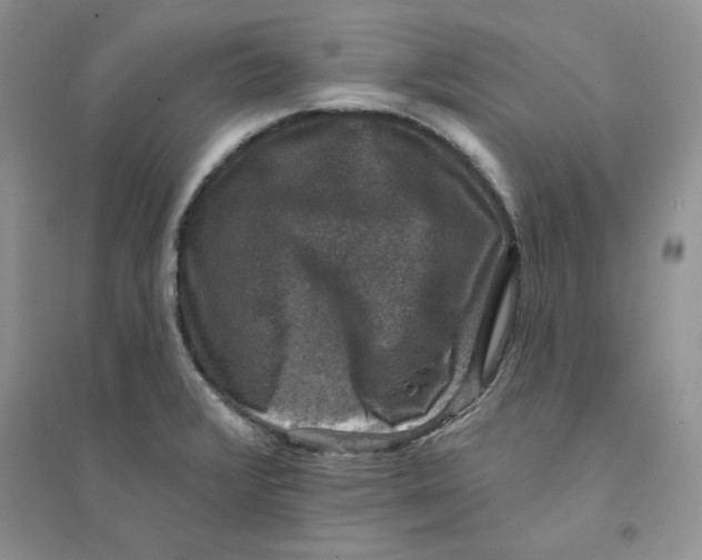 X0000094441376200711291626