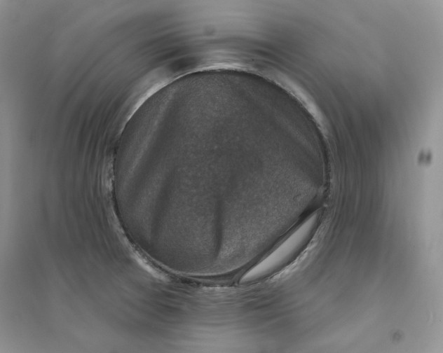 X0000094441377200711291626