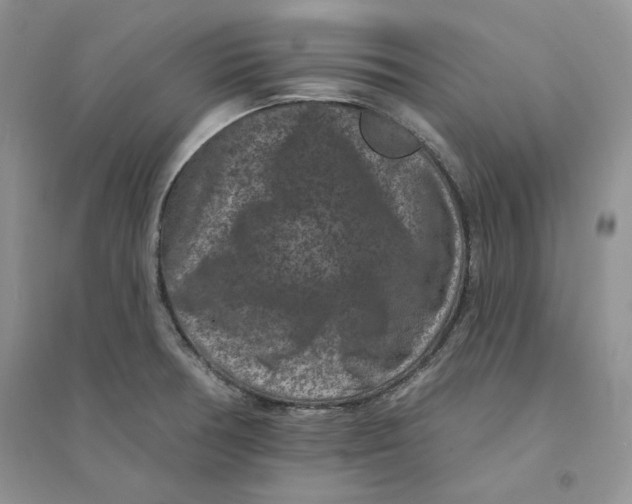 X0000094441378200711291626