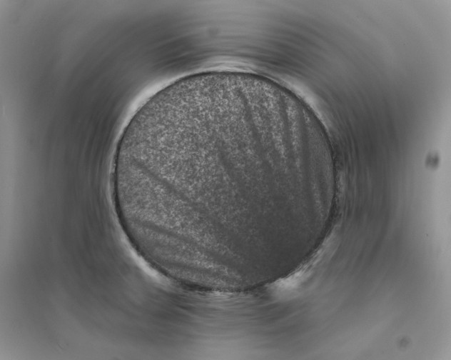 X0000094441379200711291626