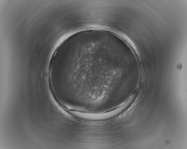 X0000094441381200711291626