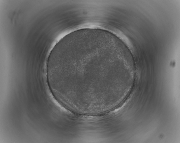 X0000094441382200711291626