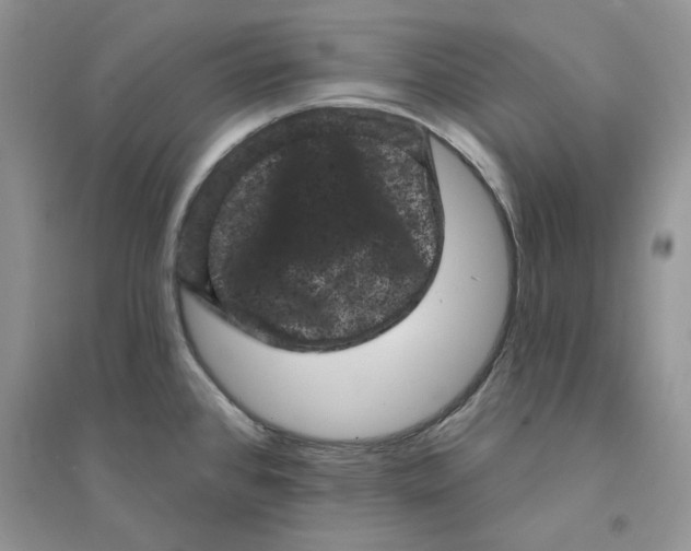 X0000094441384200711291626