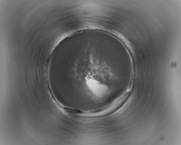 X0000094441385200711291626