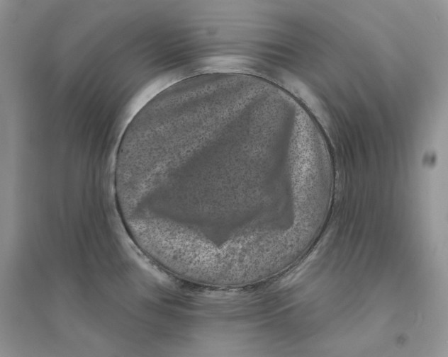 X0000094441386200711291626