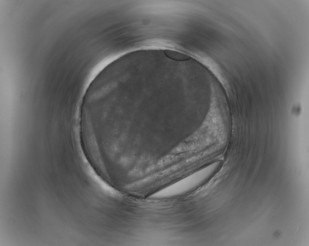 X0000094441387200711291626