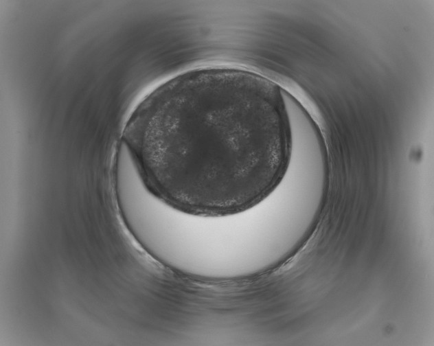 X0000094441388200711291626