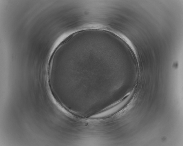 X0000094441389200711291626