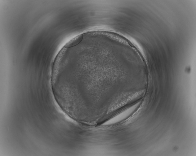 X0000094441390200711291626