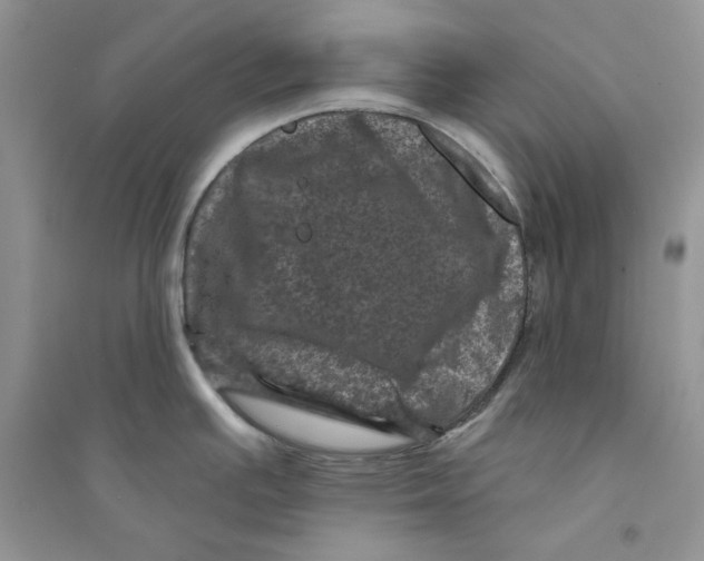 X0000094441391200711291625