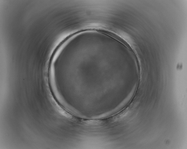 X0000094441392200711291625