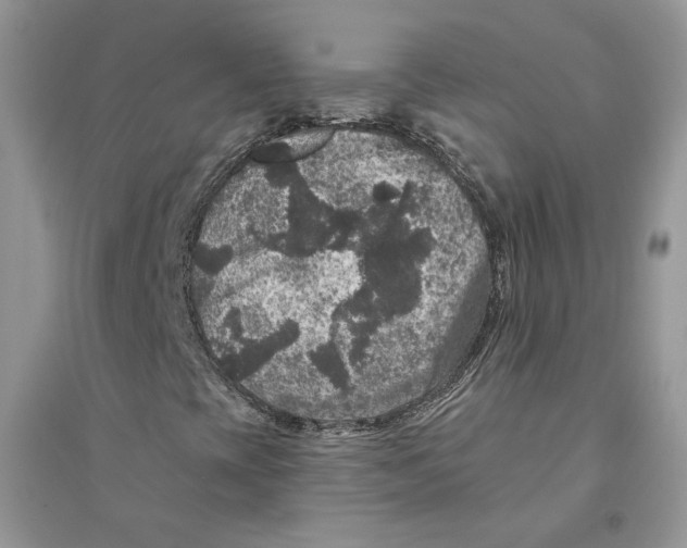 X0000094441393200711291625