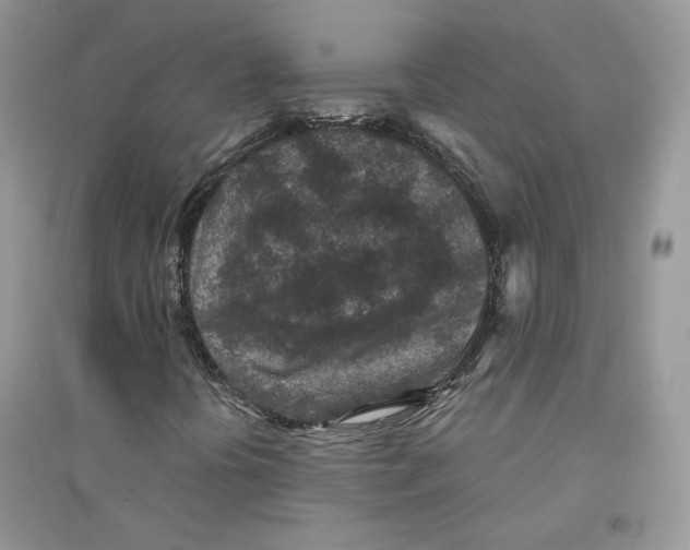 X0000094441394200711291625