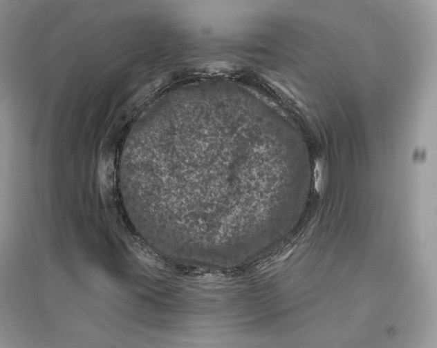 X0000094441395200711291625