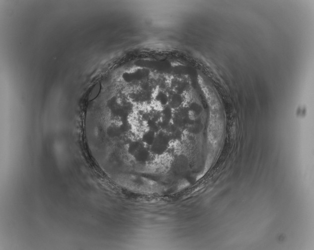 X0000094441397200711291625