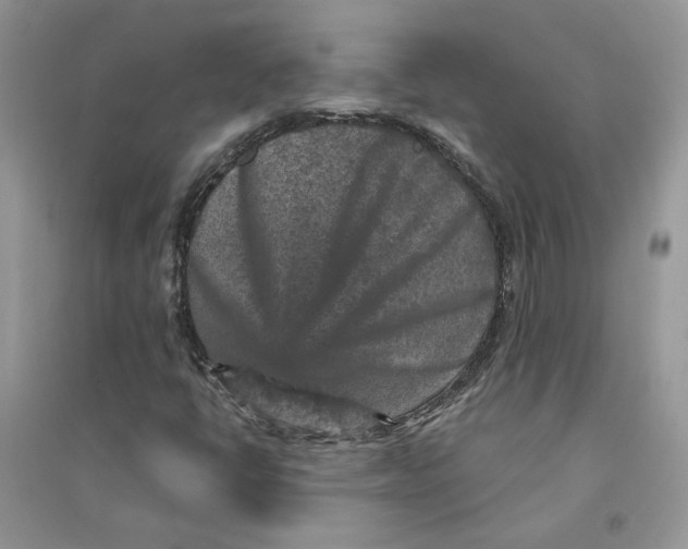 X0000094441398200711291625