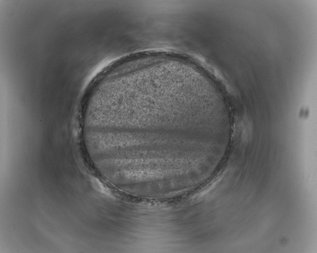 X0000094441400200711291625