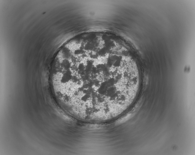 X0000094441401200711291625