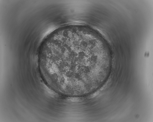 X0000094441402200711291625