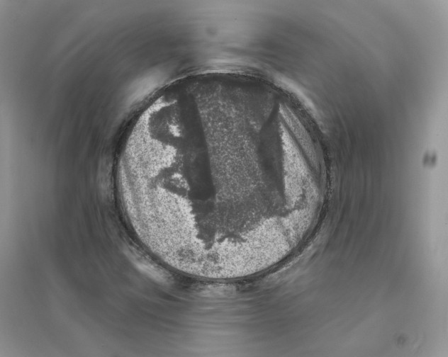 X0000094441403200711291625