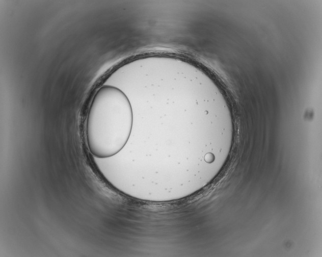 X0000094441404200711291625