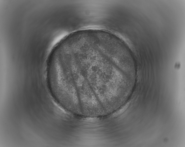 X0000094441406200711291625