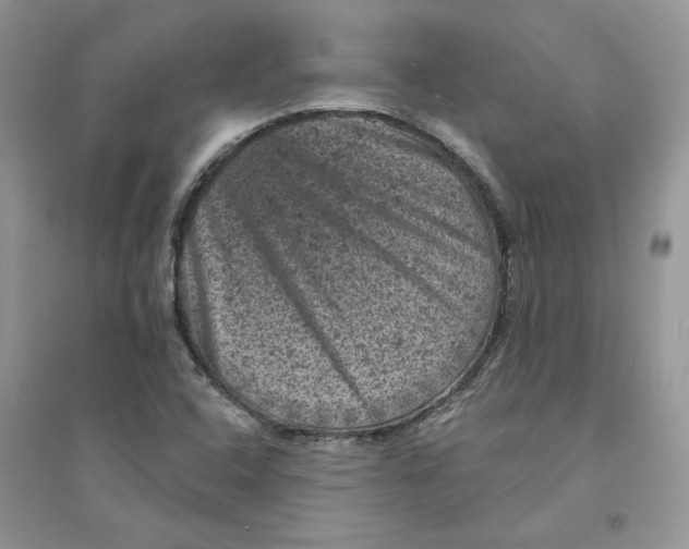 X0000094441408200711291625