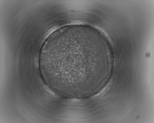 X0000094441409200711291625