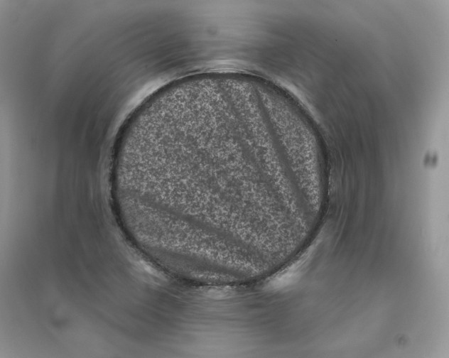 X0000094441410200711291625