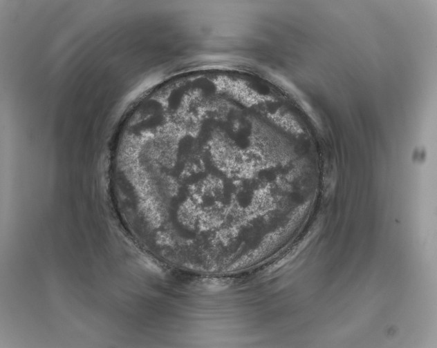 X0000094441411200711291625